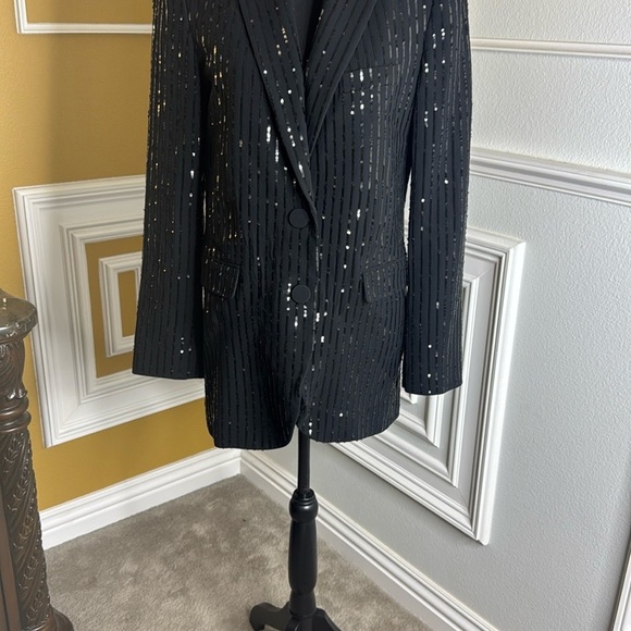 Black Sequin Pinstripe Blazer - Picture 15 of 17